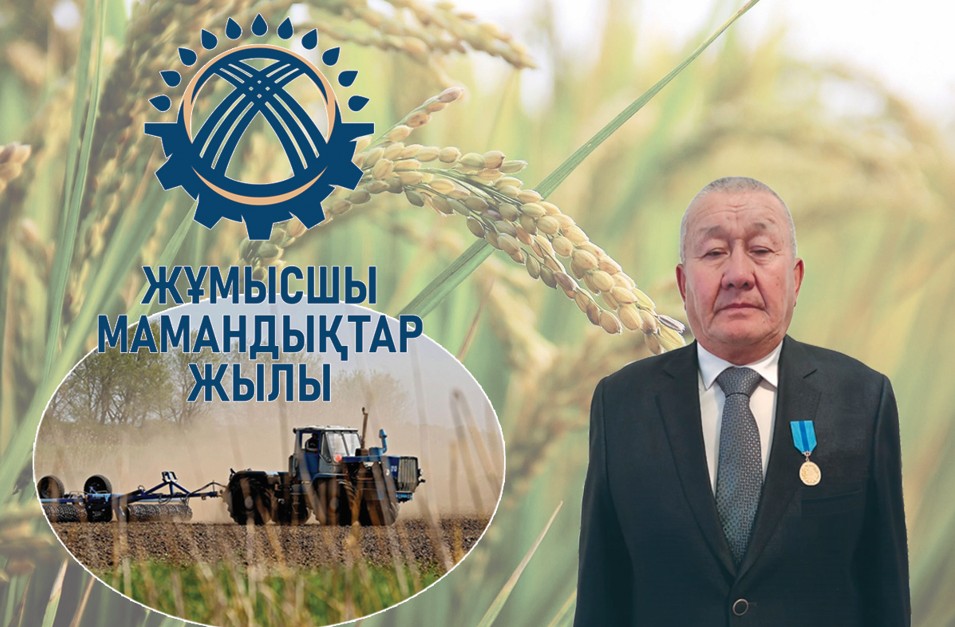 Mańdaı terdiń mártebesi