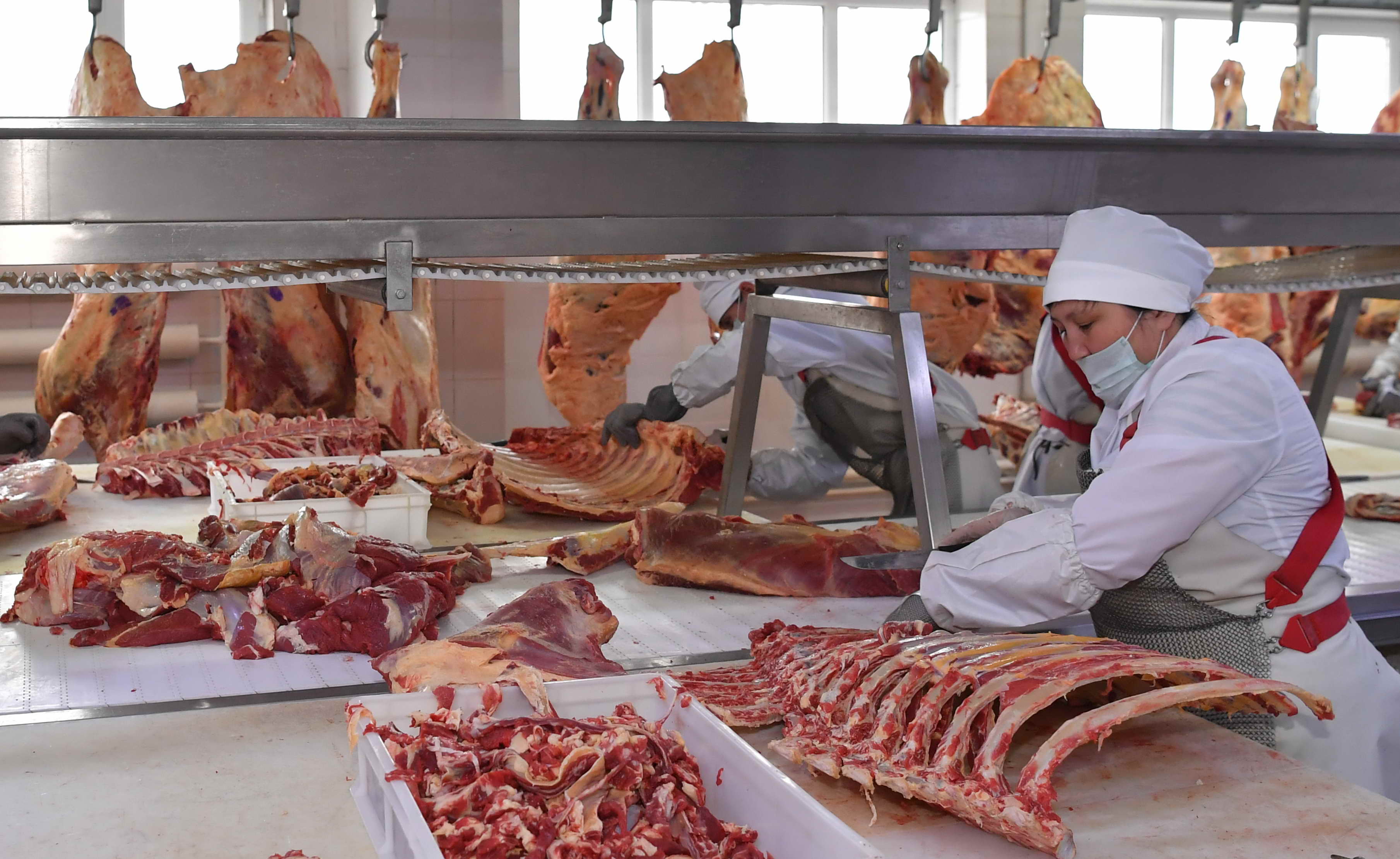 Qoı etin eksportqa shyǵarady