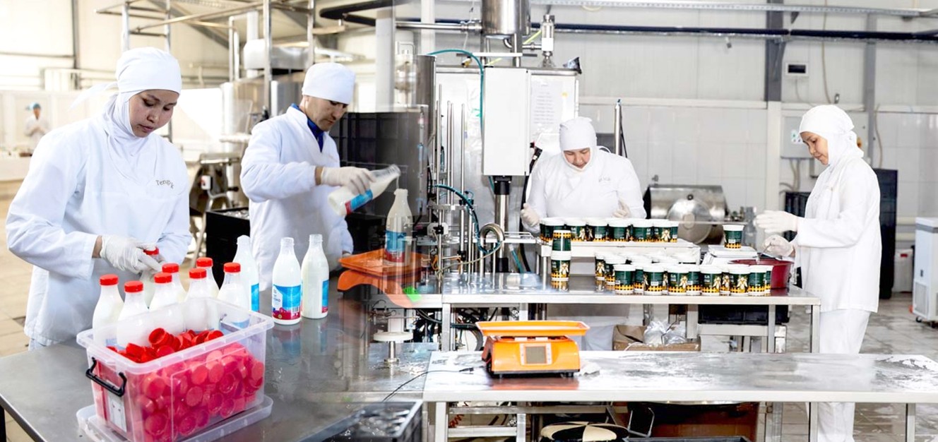 Aýdandaǵy sút óndiretin kompanııa