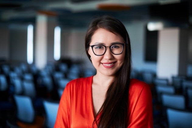 IT salasynyń aıymdary