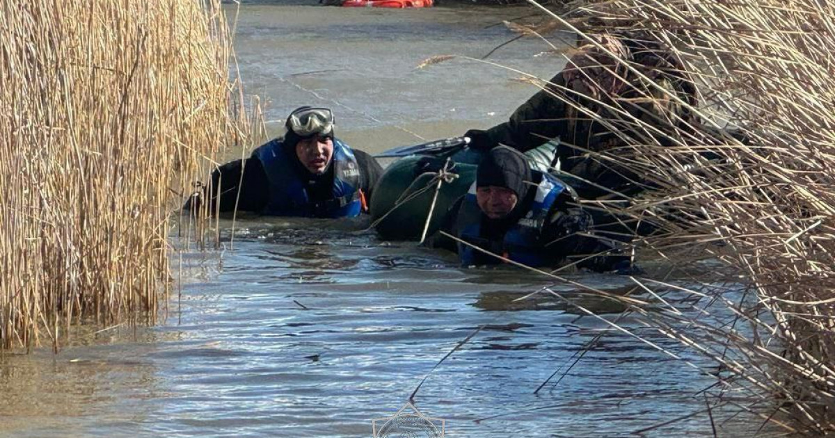 Qutqarýshylar qamys arasynda qalyp qoıǵan ańshyny qutqardy