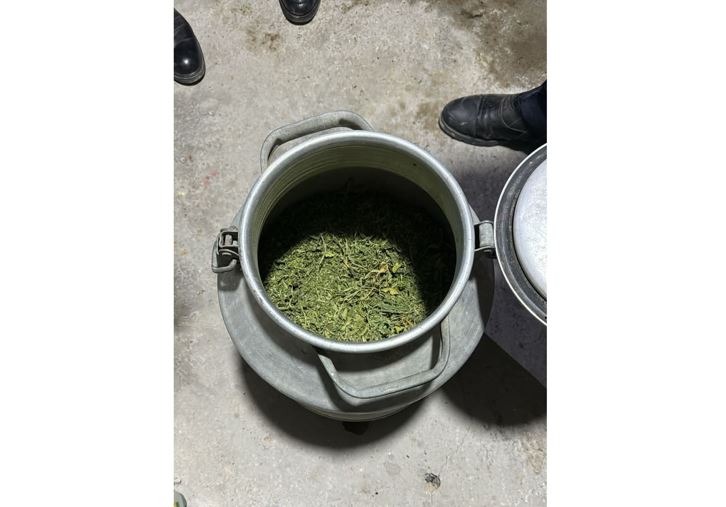 Qyzylordada eki aıda 38 esirtki qylmysy tirkeldi