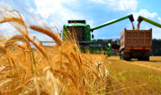 Jalǵan mal sanyna jyldar boıy sýbsıdııa tólendi - Toqaev