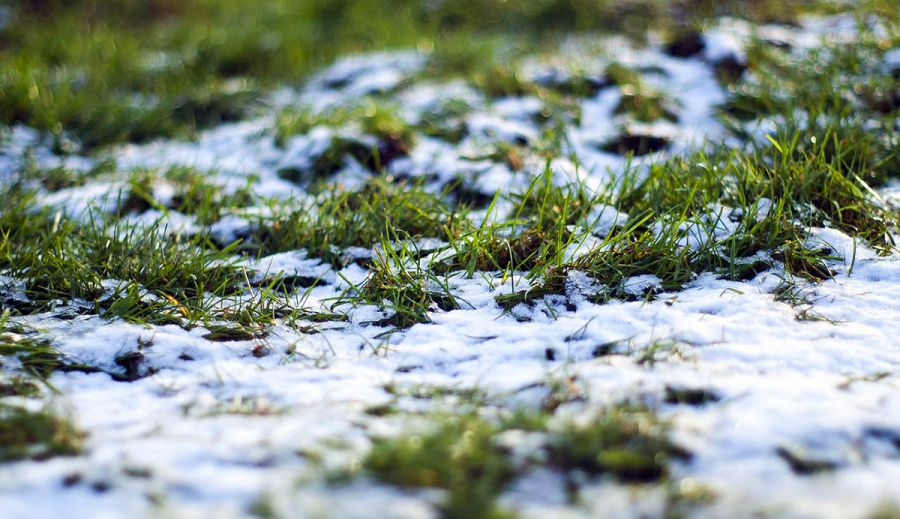 Otamaly týraly oramdy oı