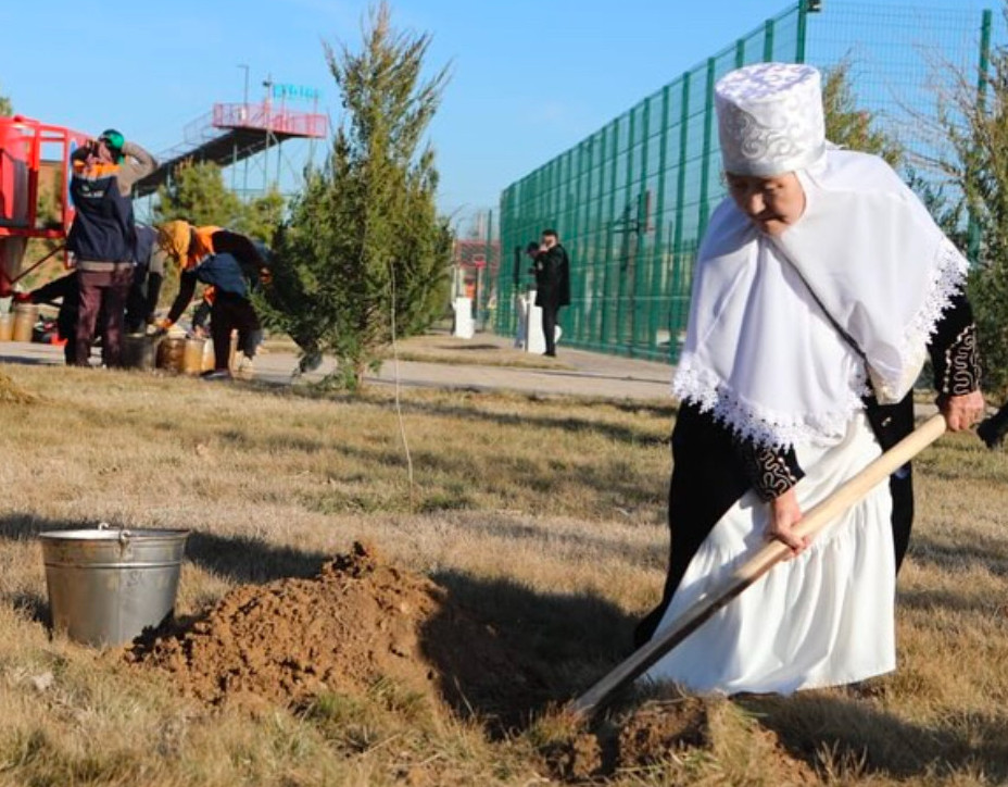 Túrkistanda 10 myńnan asa aǵash otyrǵyzyldy