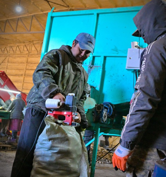 Bıznes nysandary kóbeıdi