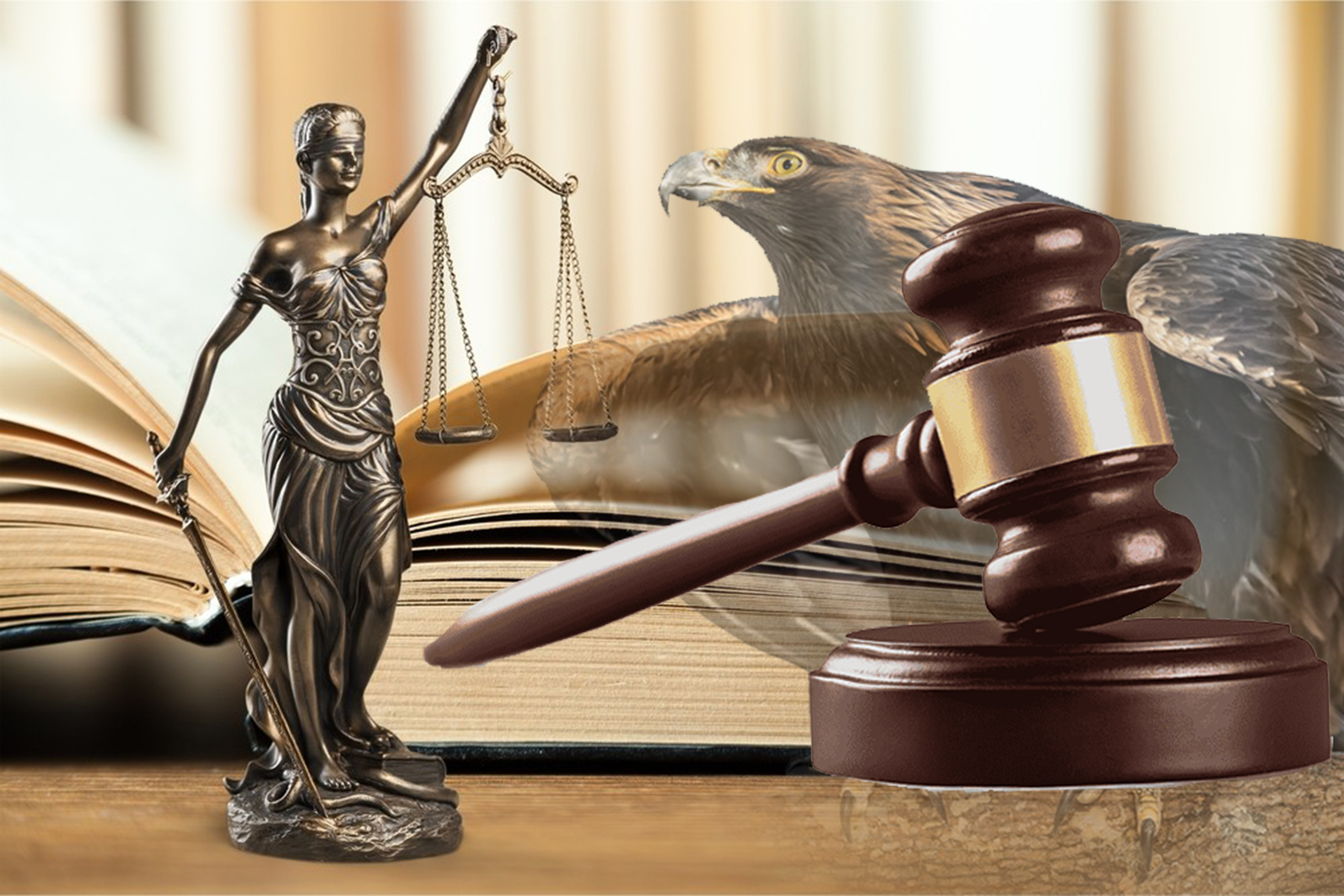 Qoǵamdy alǵa jeteleıtin quqyqtyq saýat