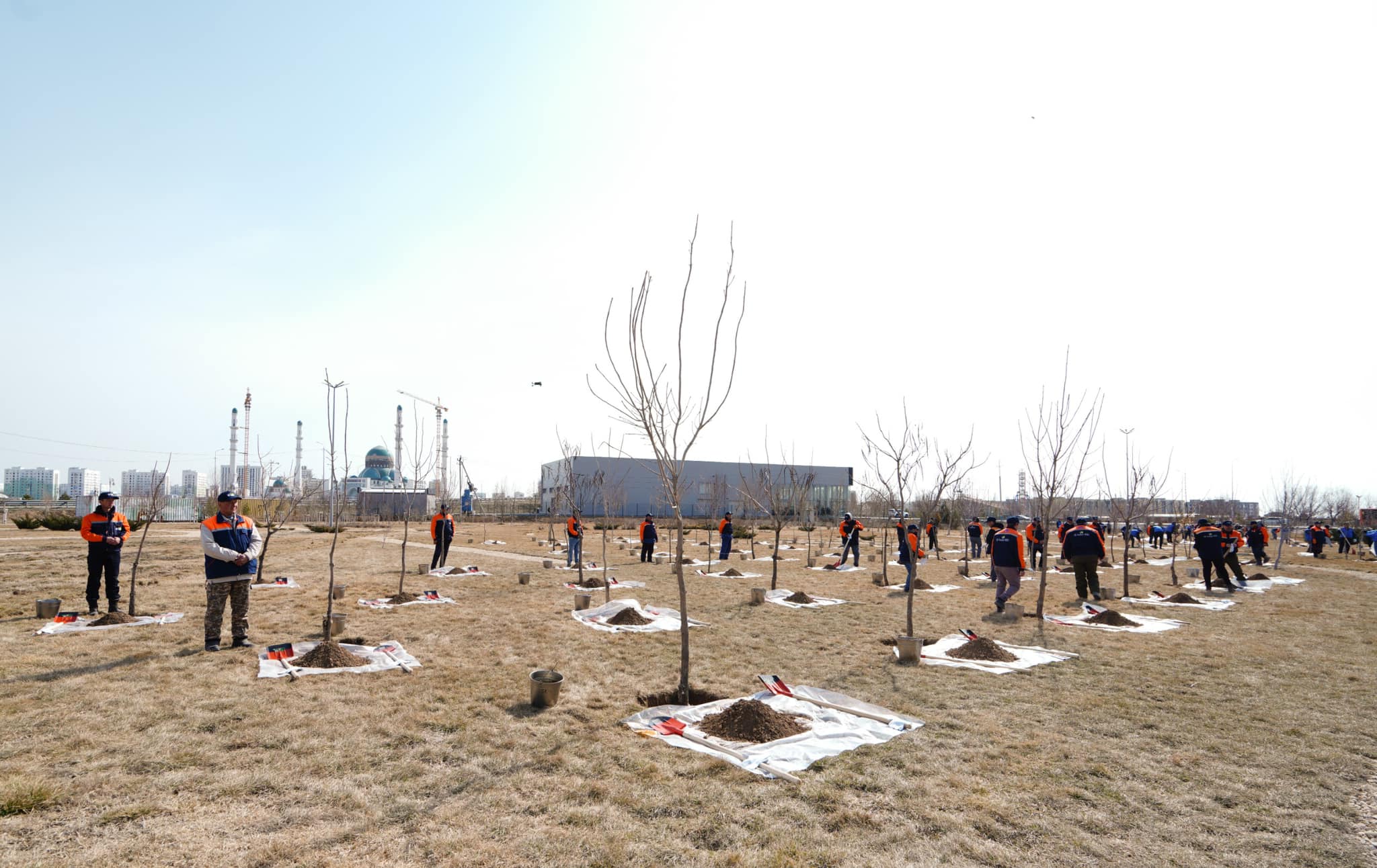 Aǵash bitken kóktemde jaıqalady