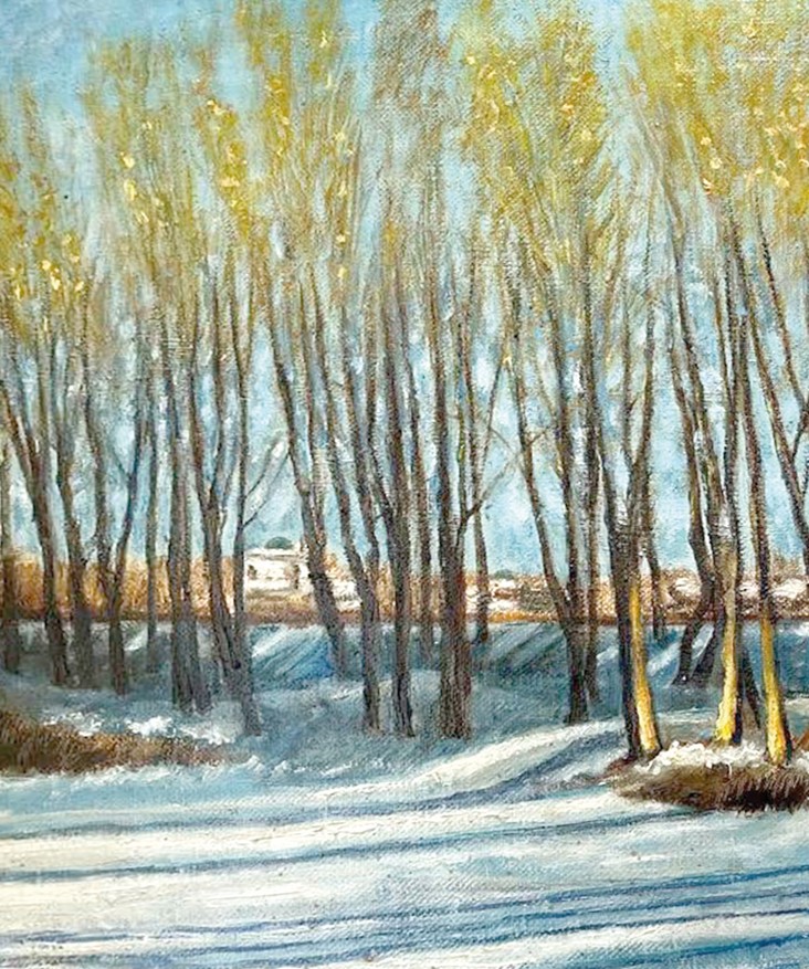 Qos merekege arnalǵan kórme