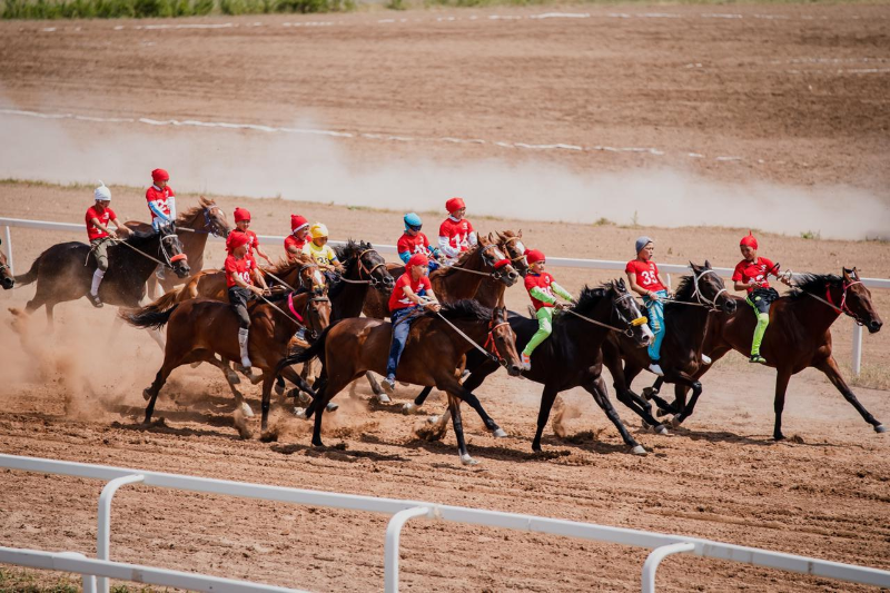 Pavlodar oblysynda ótken báıgede shabandoz jyǵylyp, aýyr jaraqat aldy