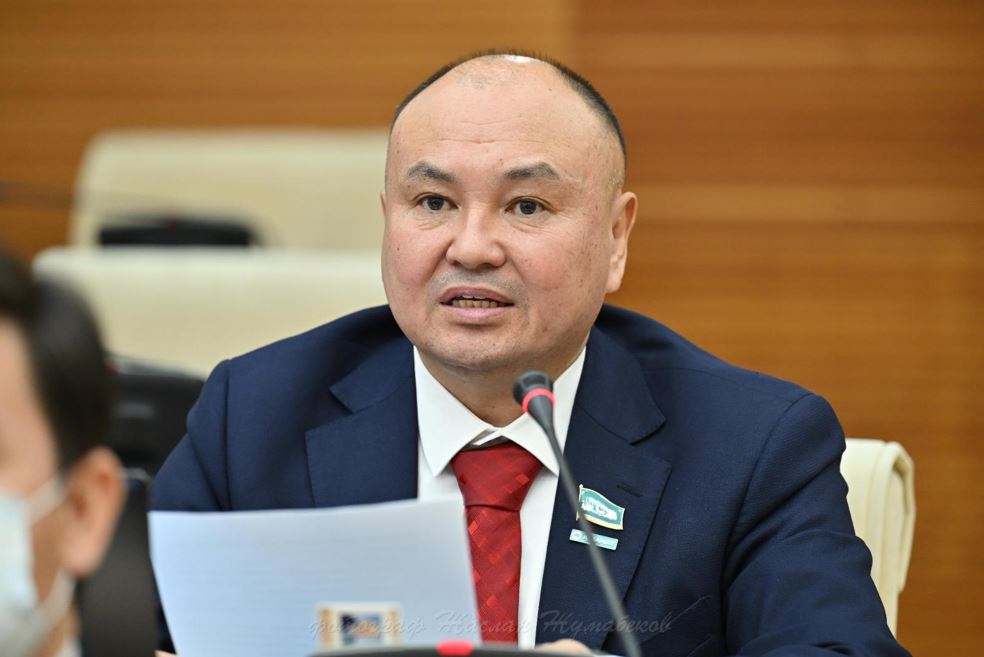 Shekaralyq aýdandardyń strategııalyq mańyzy zor - depýtat