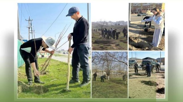 Ekoaksııalarǵa 88 myń adam qatysqan