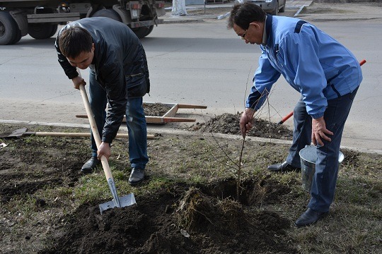 Qostanaıda tazalyq aıy bastaldy