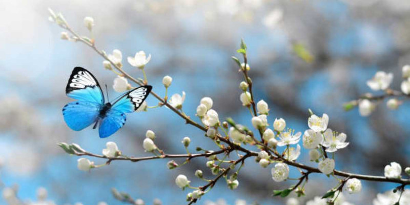 Búgin elimizdiń basym bóliginde turaqsyz aýa raıy saqtalady