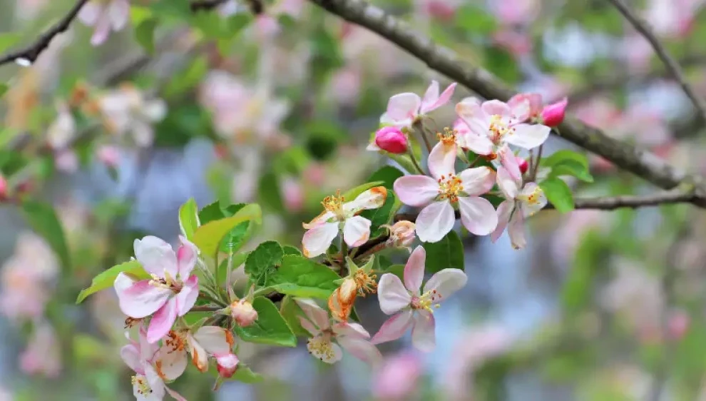 Sáýir aıynda qazaqstandyqtar 8 kún demalady