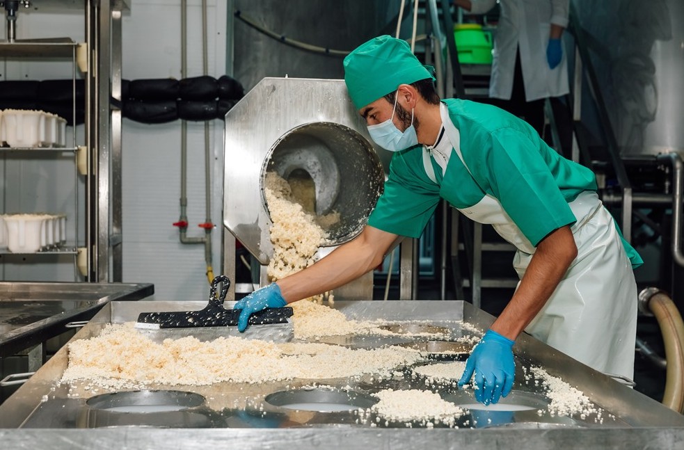 Suranysqa ıe «Kamerton» irimshikteri