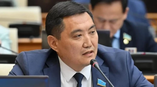 Kıberalaıaqtyqqa qarsy zań talabyn kúsheıtý usynyldy