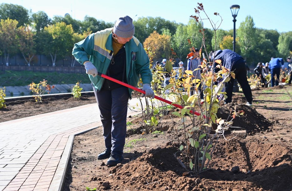 Aýlalar abattana bastady
