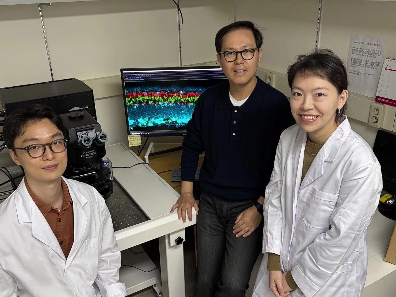 Kórý qabiletin qalpyna keltiretin dári