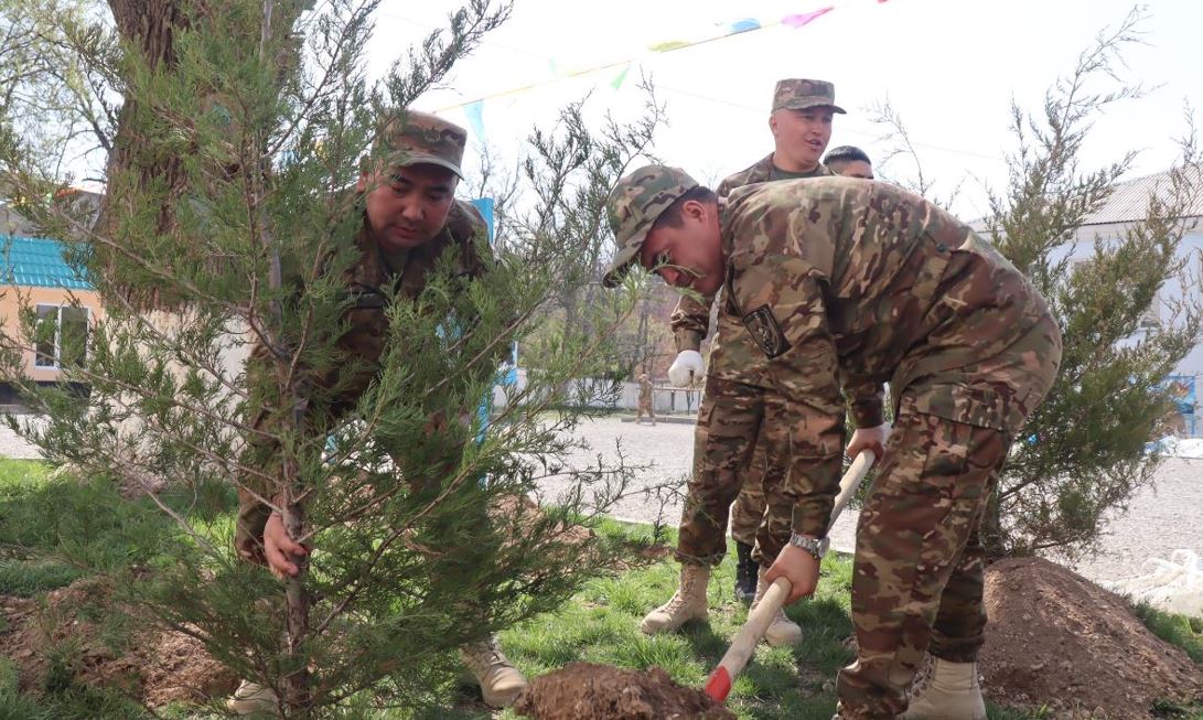 Jeńistiń 80 jyldyǵyna arnalyp seksen kóshet otyrǵyzyldy