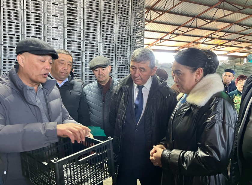 Jáshik shyǵaratyn kásiporyn