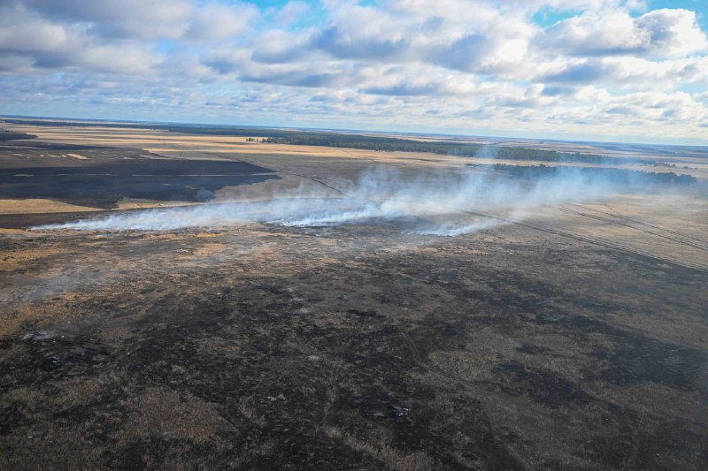 Besqaraǵaı aýdanyndaǵy orman órti tolyq oqshaýlandy