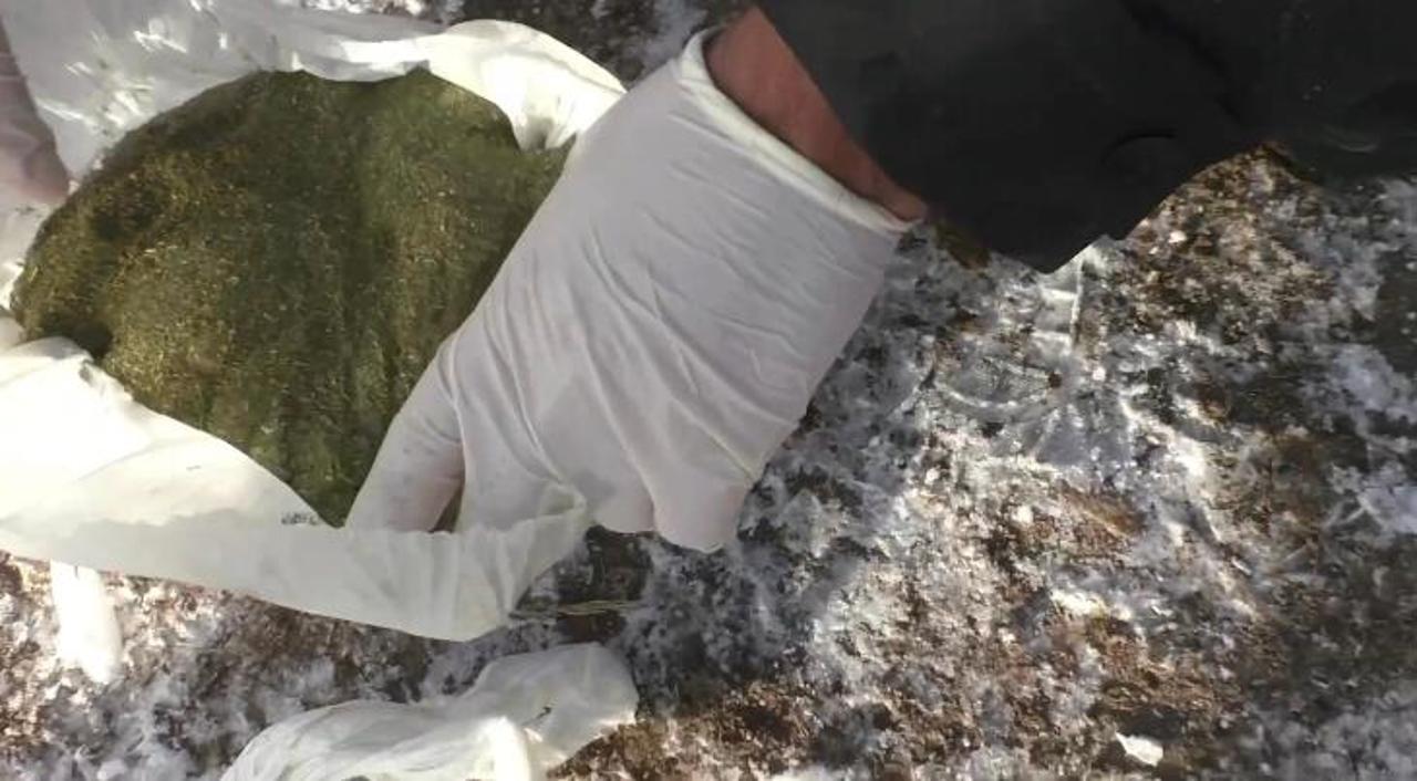 Dármek: Birneshe kılogramm esirtki tárkilendi