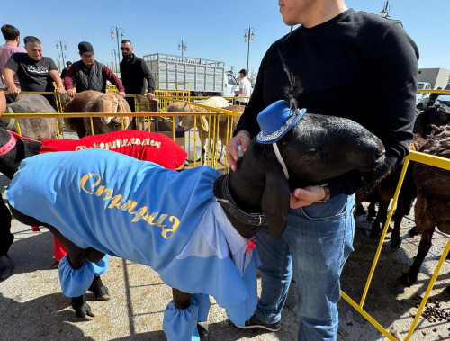Túrkistanda etti, maıly qoılardyń V halyqaralyq kórmesi ótti
