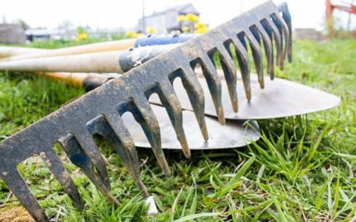 Qosshynyń kórki kirip keledi