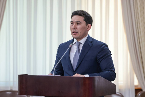 Ulttyq parkterge kirý júıesin sıfrlandyrý qajet - mınıstr