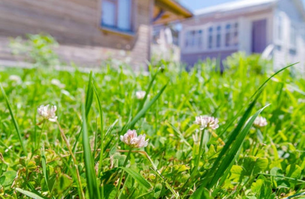 Saıajaılar eldi mekender qataryna endi