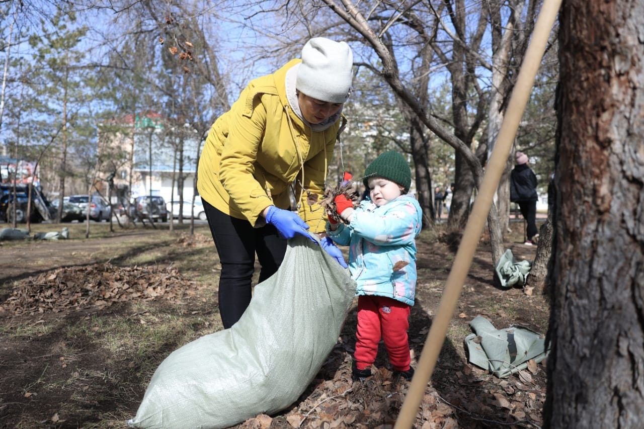 165 myń aǵash kósheti egiledi