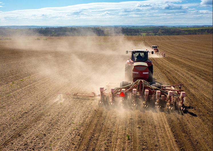 Ulytaý oblysynda 32 myń gektar egis alqabyna daqyl egiledi