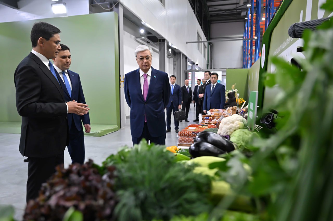 Memleket basshysy Shymkenttegi saýda-logıstıka ortalyǵyna bardy
