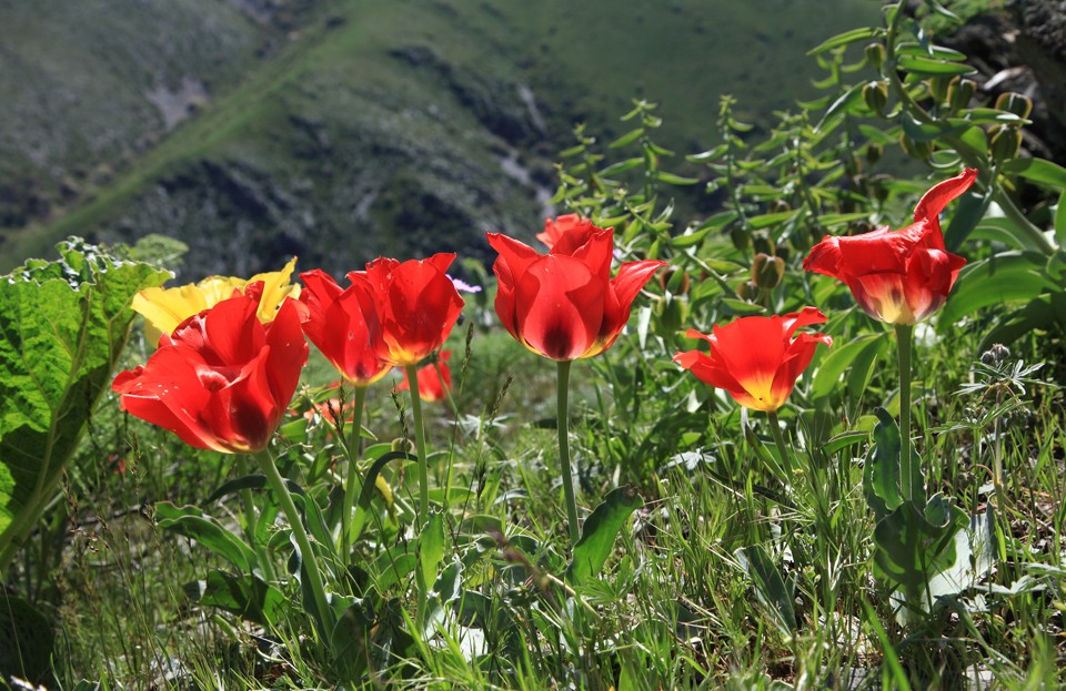 Qoınaýy qazynaǵa toly Berikqara