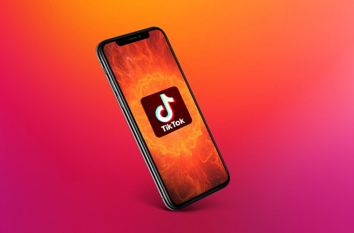 Balalar kóp qoldanǵan qosymsha belgili boldy