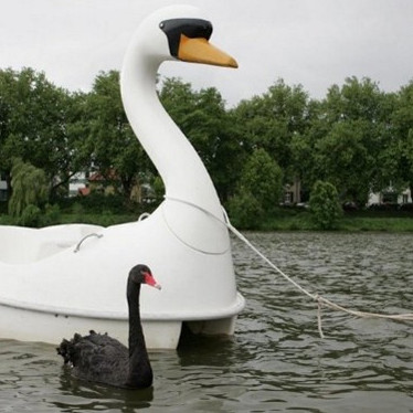 Katamaranǵa ǵashyq bolǵan aqqý