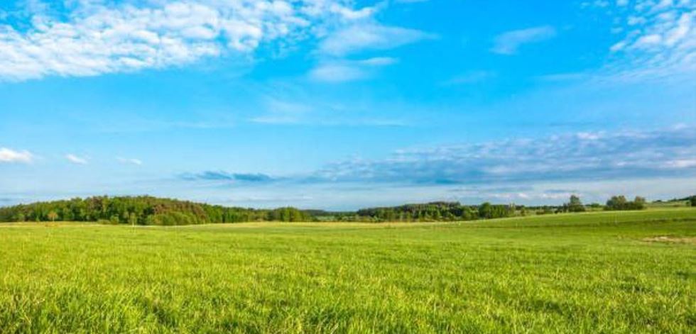 Abaı oblysynda 64,2 myń gektar jer memleketke qaıtarylǵan