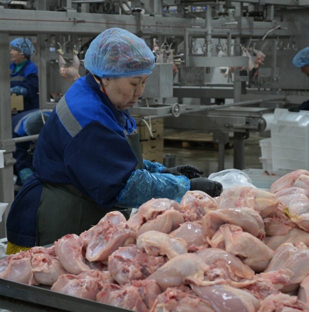 Qaıta jandanǵan kásiporyn