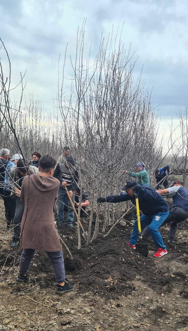 Tegin kóshet taratty