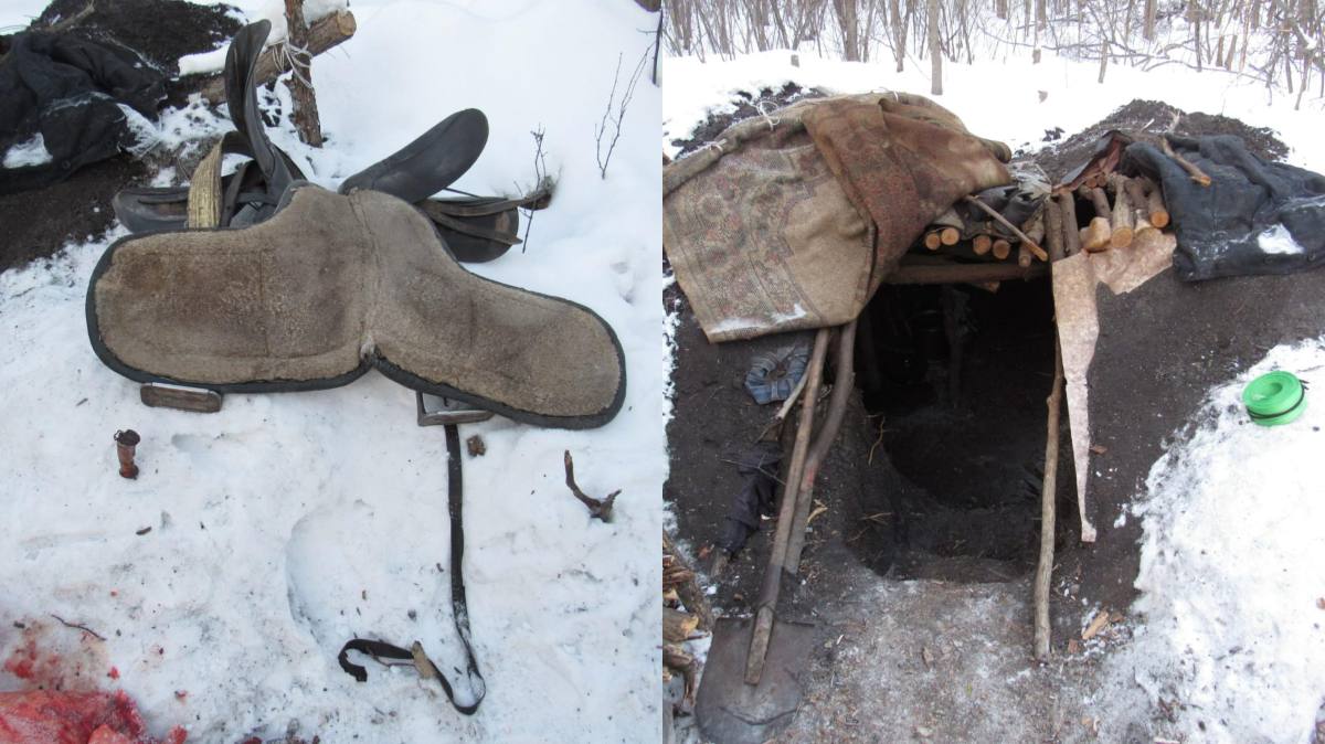 SQO-da jylqy urlaǵan turǵyn 7 jylǵa sottaldy