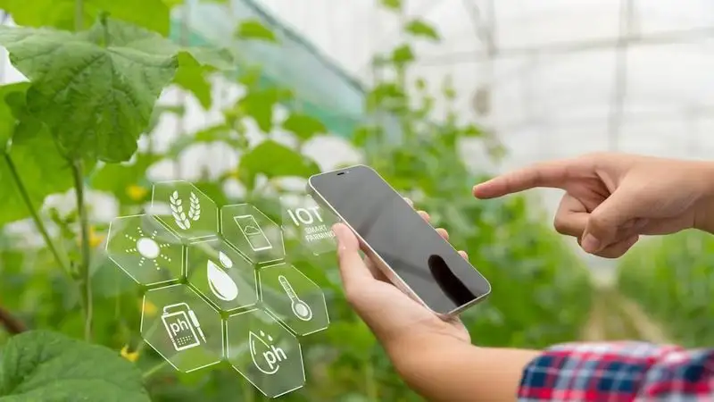 «Aqyldy jasyl ferma» kómektesedi