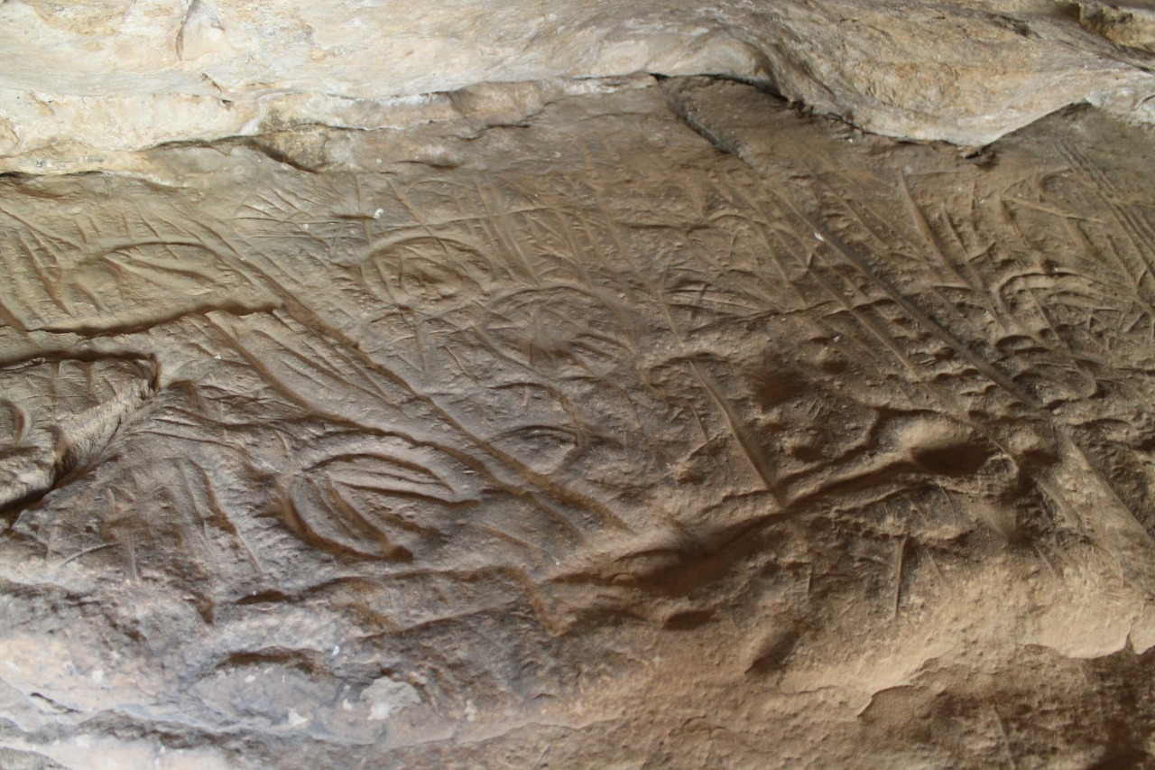 Tóleýbulaq petroglıfteri joıylyp barady