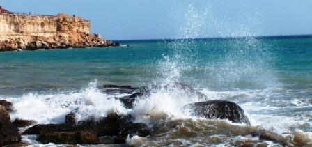 Qart Kaspııge qamqorlyq qamy