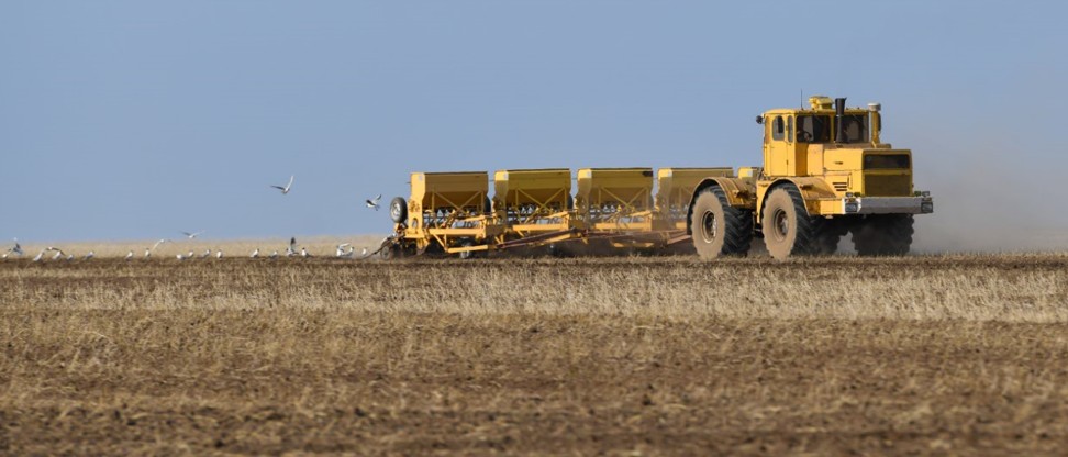 Sharýalar naýqanǵa saqadaı saı