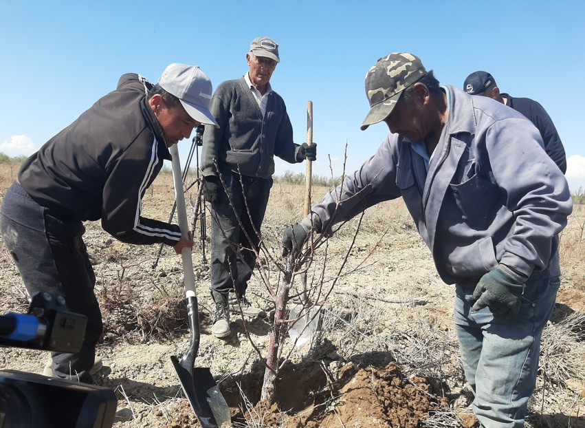 Sary órikke suranys joǵary