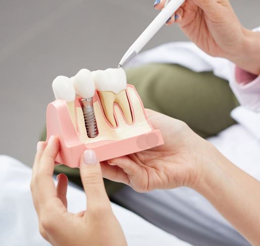 Tis ósirýge bolady