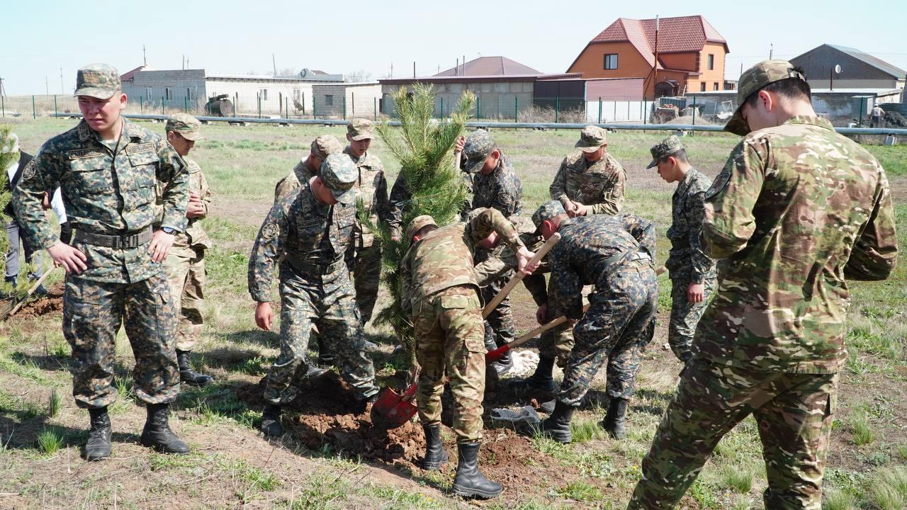 Aqmolada jyl basynan beri 2,3 mıllıon dana kóshet otyrǵyzyldy
