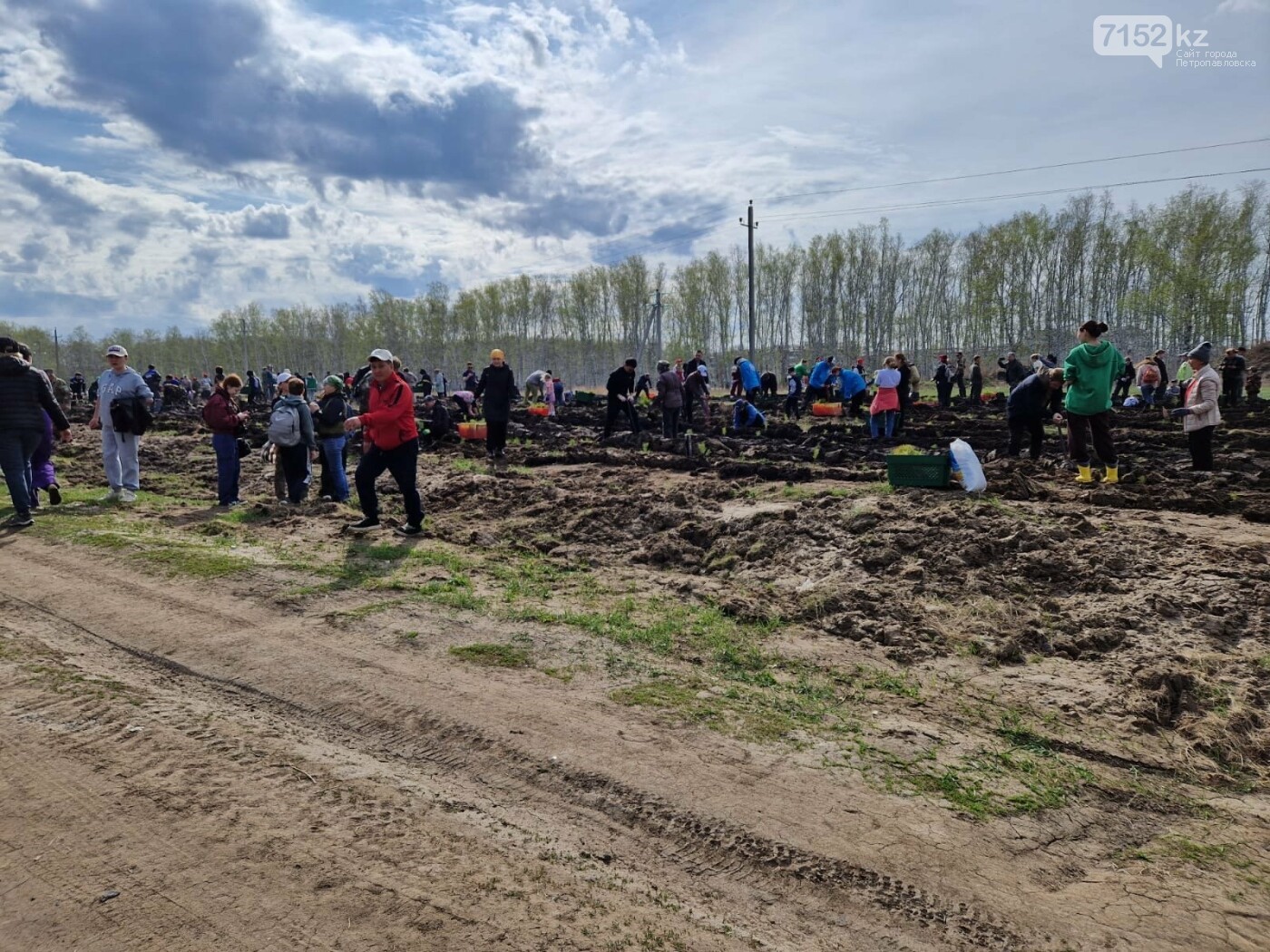 Qaraǵaıly orman ósetin bolady