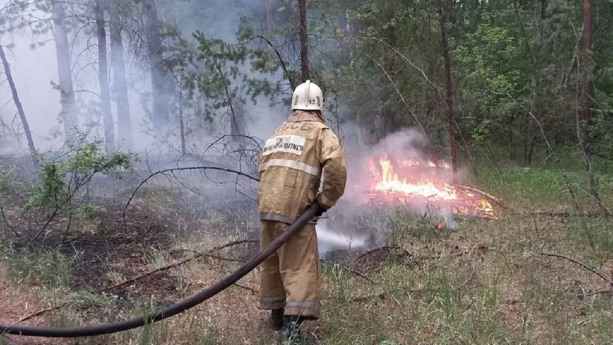 Qarqaralyda ormannan órt shyqty
